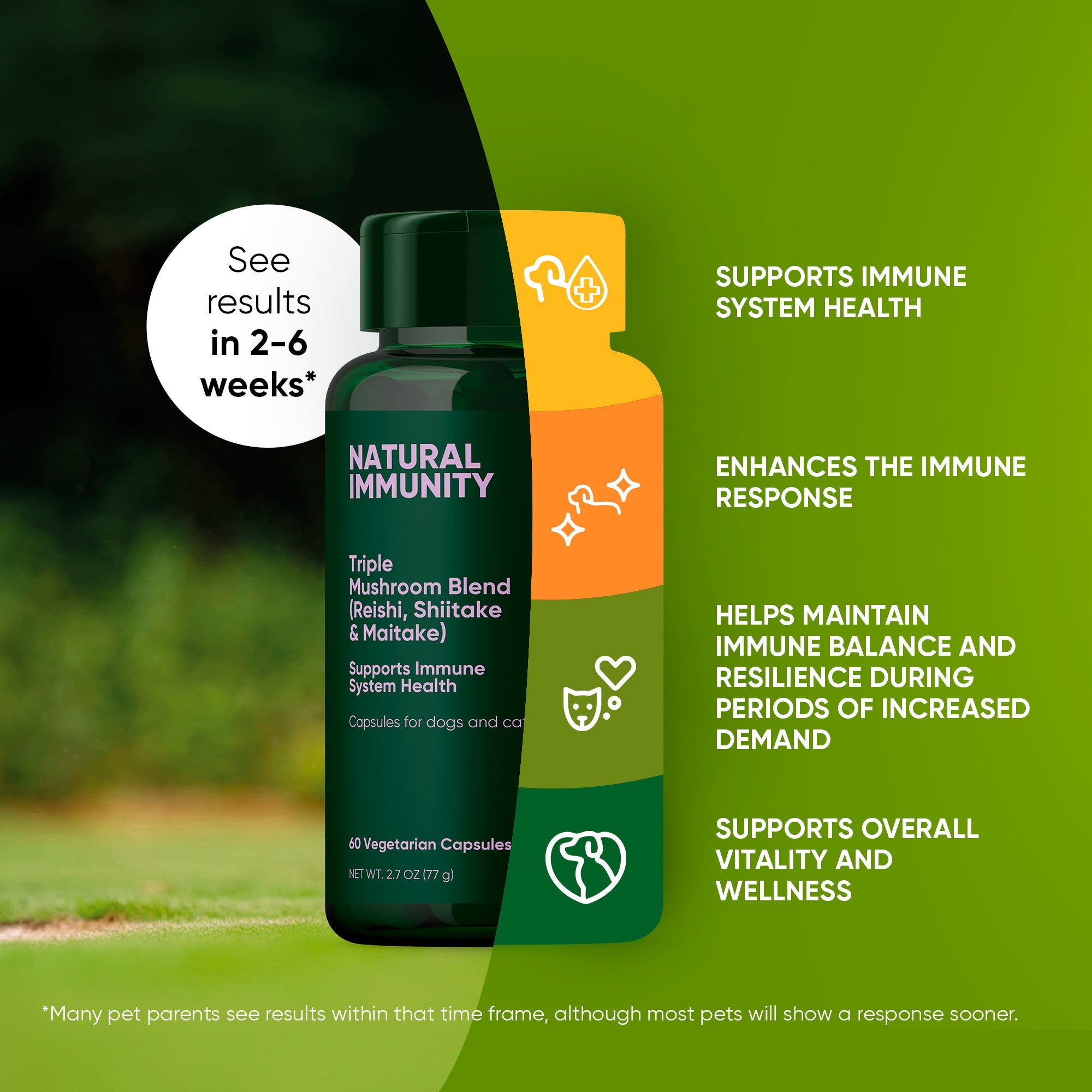 Mushroom Immune Support