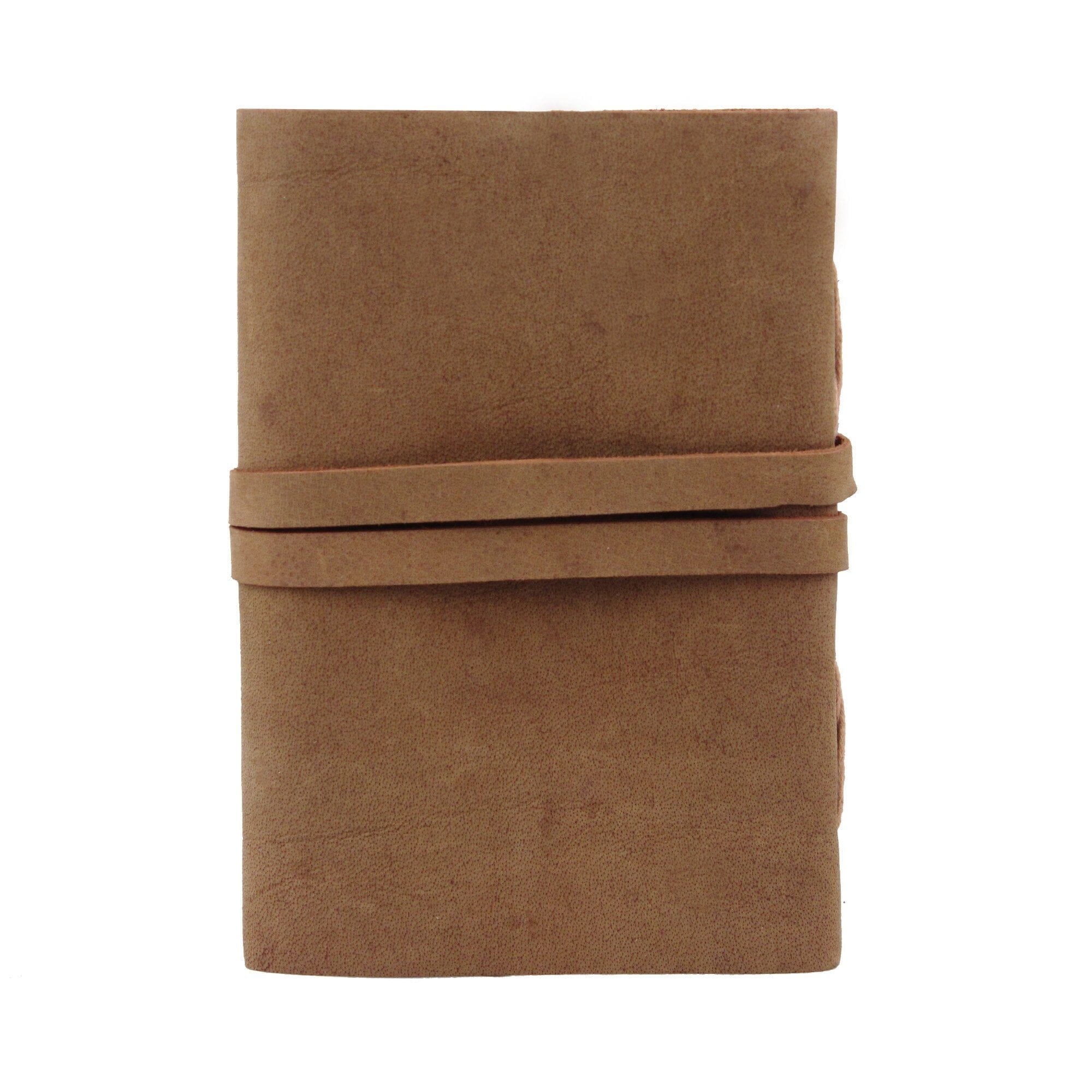 The Sapling Notebook